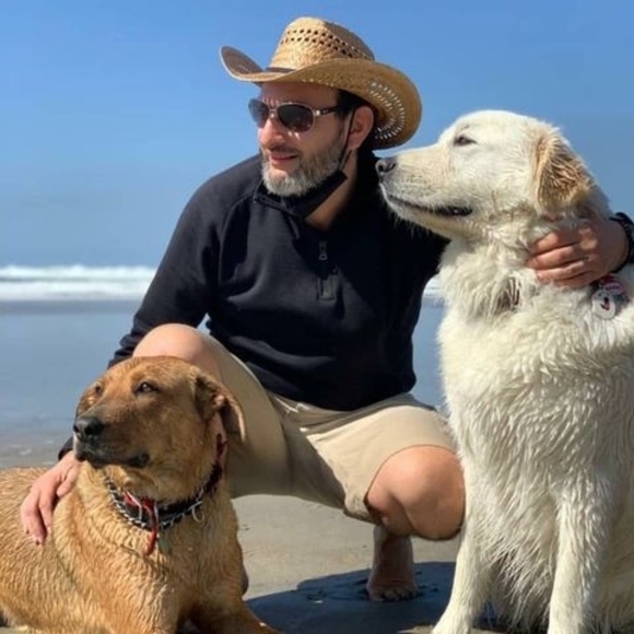 Meet your Posher, Alonso - Picture 1 of 1